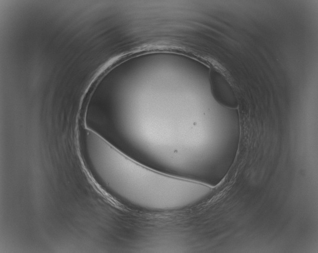 X0000054421134200507290919