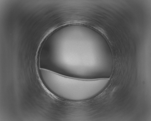 X0000054421135200507290919