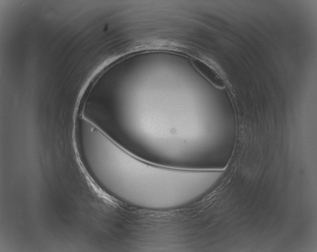 X0000054421136200507290919
