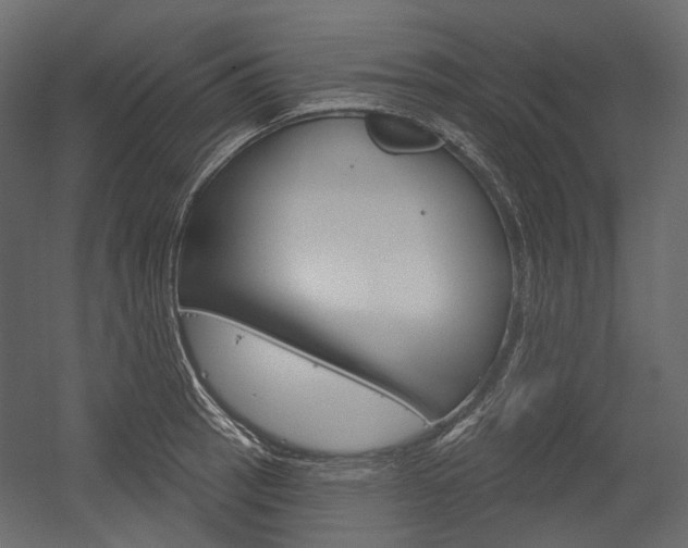 X0000054421137200507290919