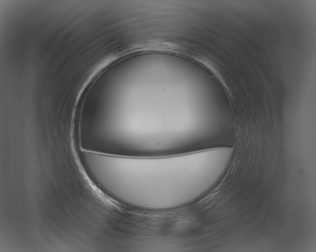 X0000054421139200507290919