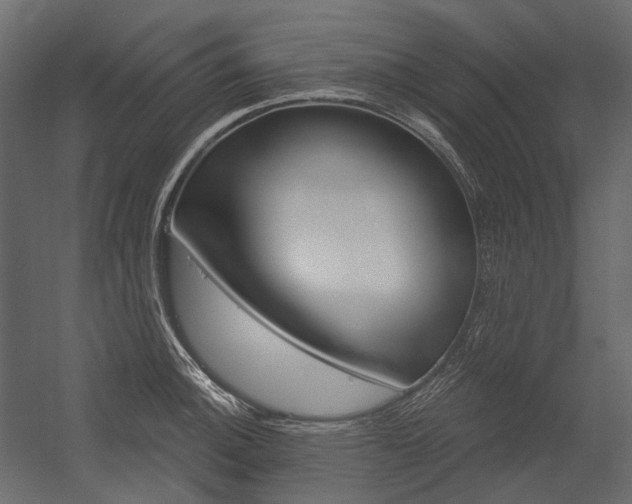 X0000054421140200507290919