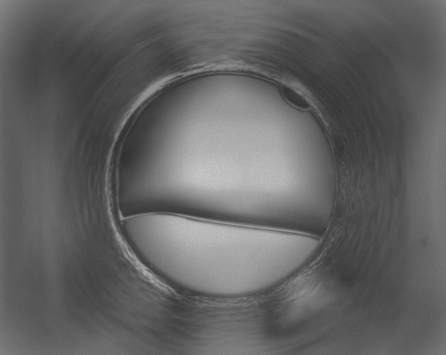 X0000054421142200507290919