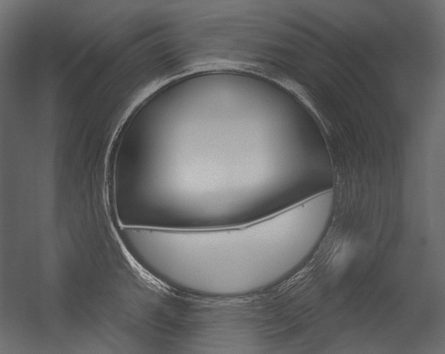 X0000054421143200507290919