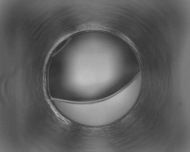 X0000054421144200507290919