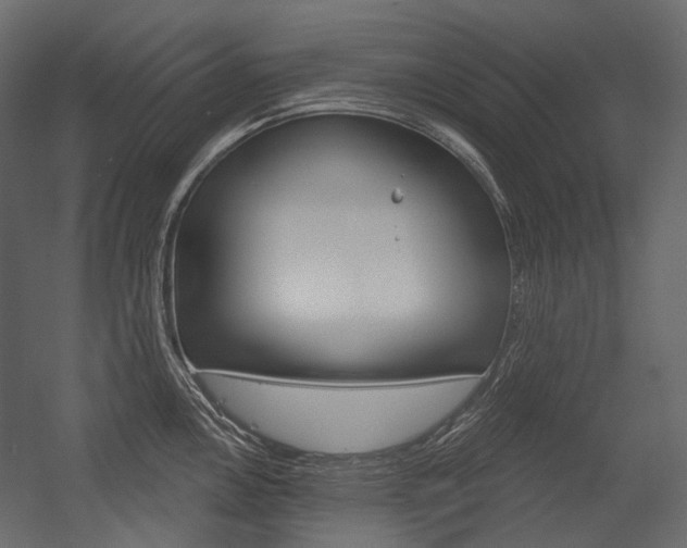 X0000054421146200507290919