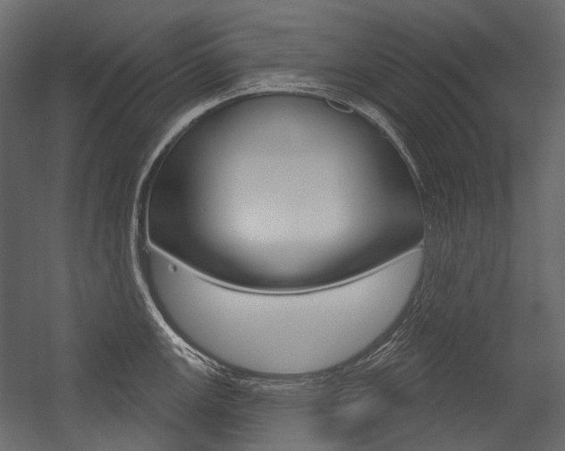 X0000054421147200507290919