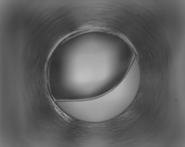 X0000054421148200507290919