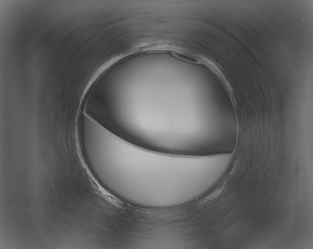 X0000054421149200507290919