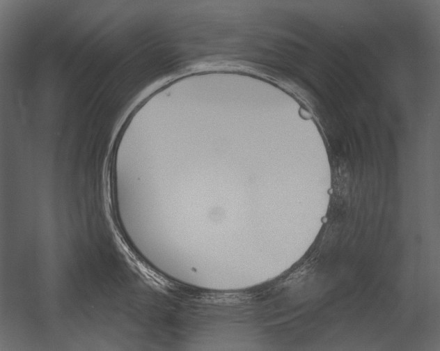 X0000054421150200507290919