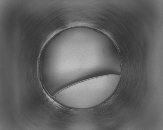 X0000054421151200507290919
