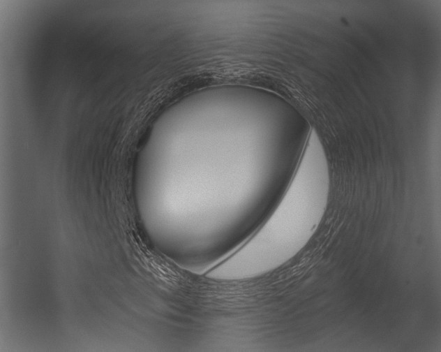 X0000054421153200507290918