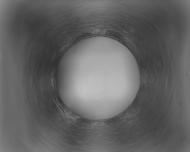 X0000054421154200507290918