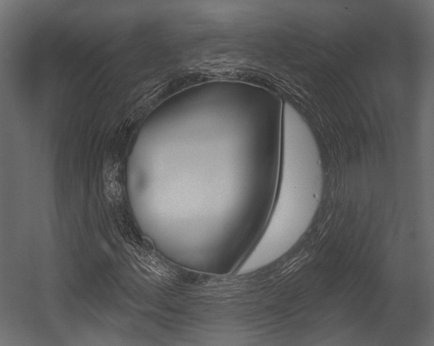 X0000054421156200507290918