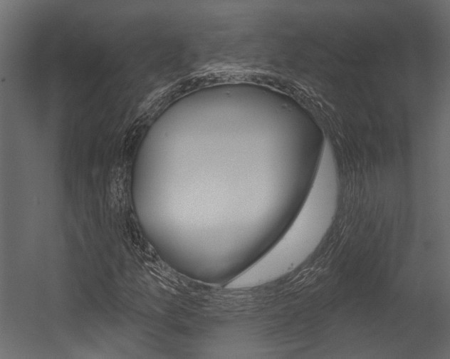 X0000054421157200507290918