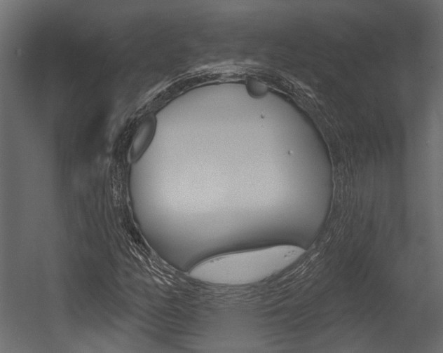 X0000054421158200507290918