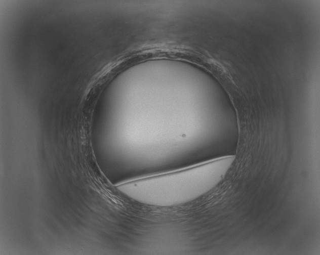 X0000054421159200507290918