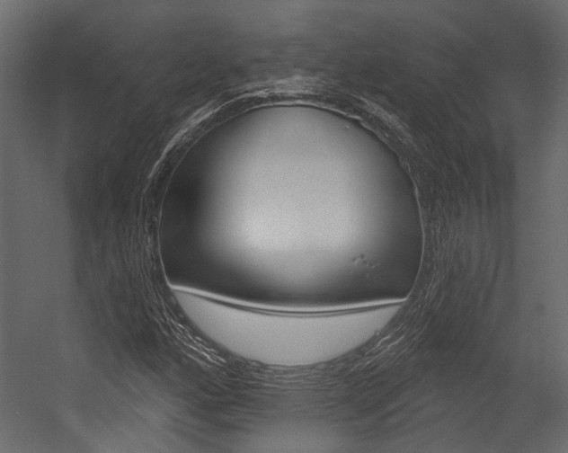 X0000054421160200507290918