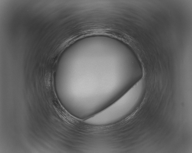 X0000054421161200507290918