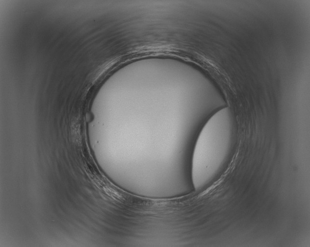 X0000054421162200507290918