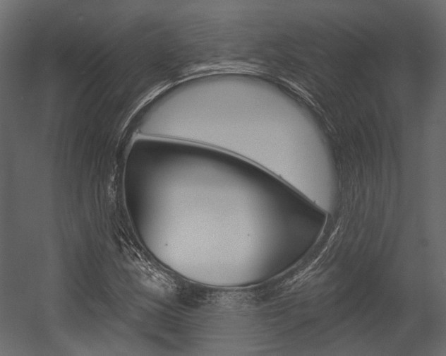 X0000054421163200507290918