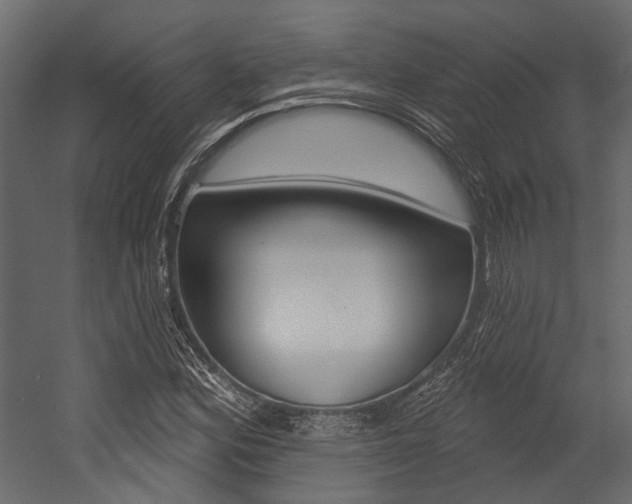 X0000054421164200507290918