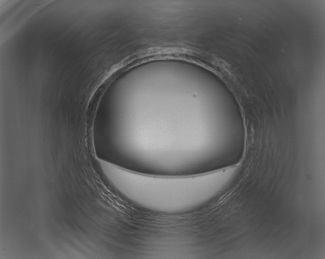 X0000054421165200507290918