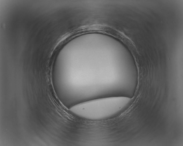 X0000054421166200507290918