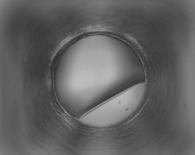X0000054421167200507290918