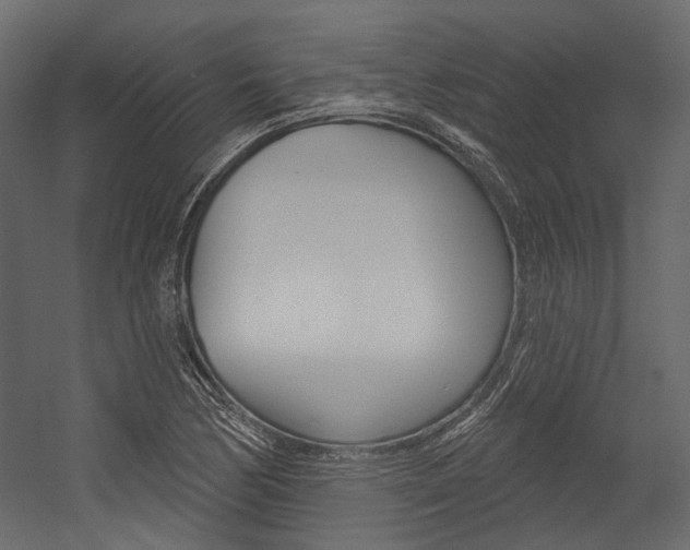 X0000054421170200507290918