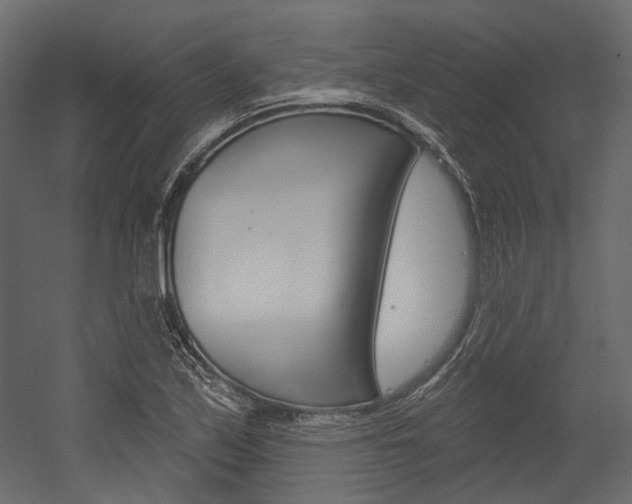 X0000054421171200507290918