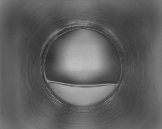 X0000054421172200507290918