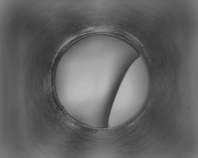 X0000054421174200507290918