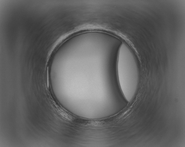 X0000054421175200507290918