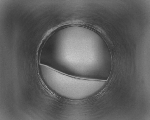 X0000054421176200507290918