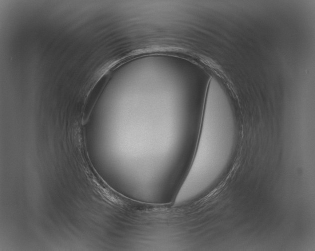 X0000054421177200507290918