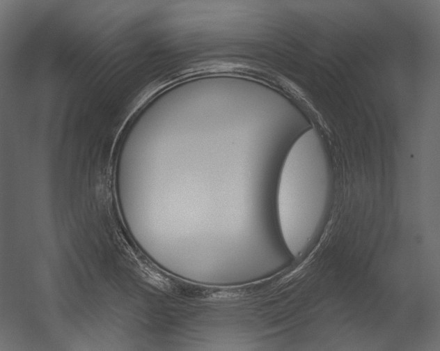 X0000054421178200507290918