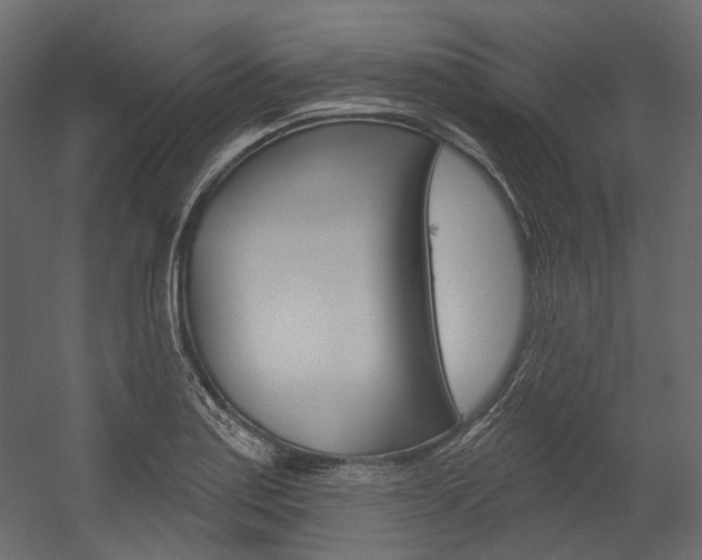 X0000054421179200507290918