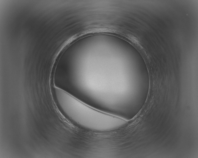 X0000054421181200507290918