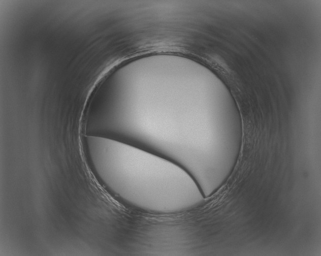 X0000054421182200507290918