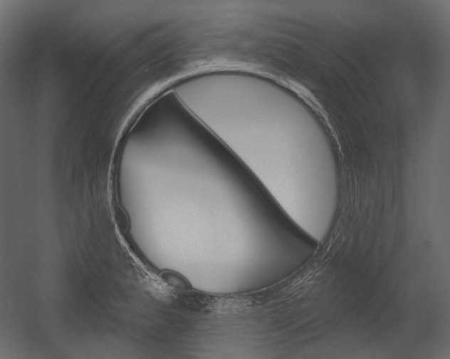 X0000054421183200507290918
