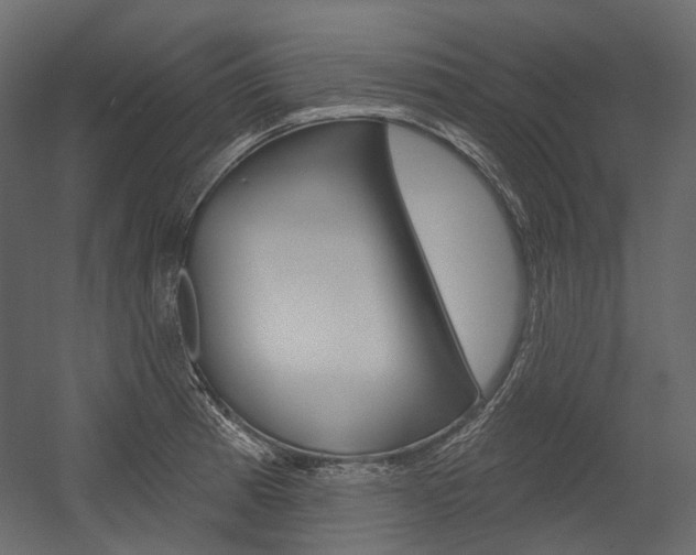 X0000054421185200507290918