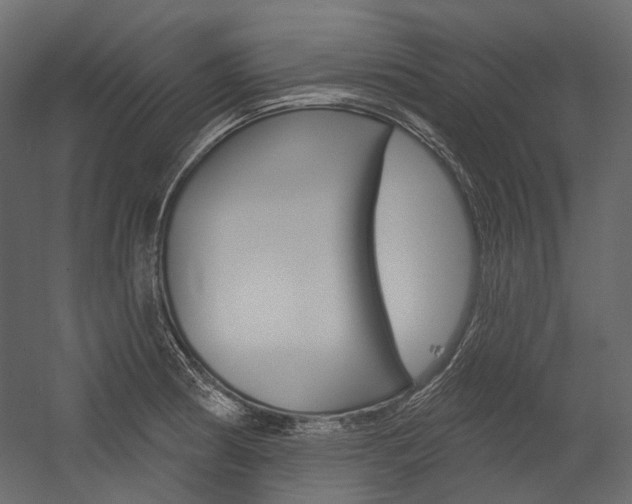 X0000054421186200507290918