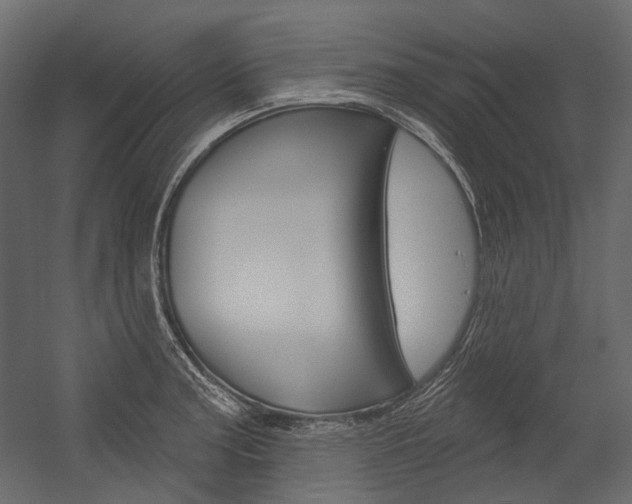 X0000054421187200507290918