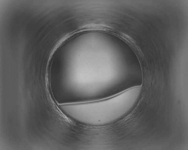 X0000054421188200507290918