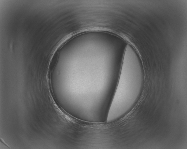 X0000054421189200507290918