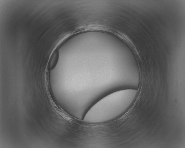 X0000054421190200507290918