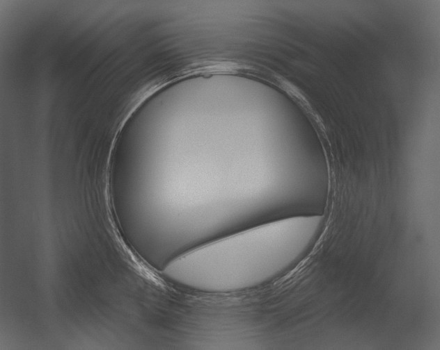 X0000054421194200507290918