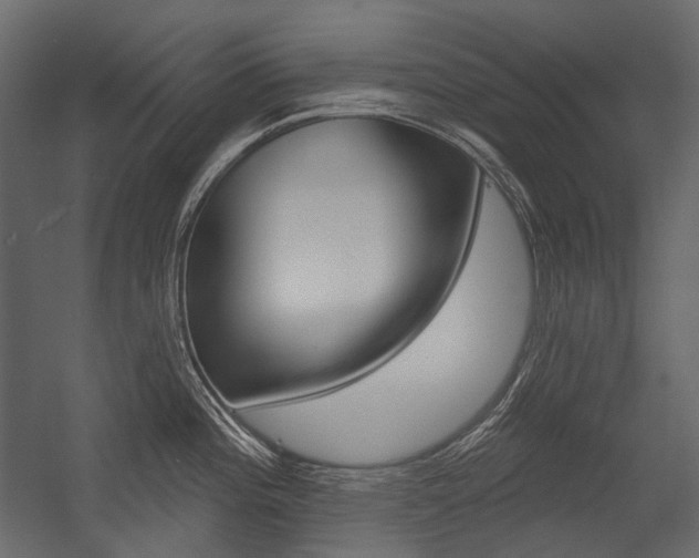 X0000054421196200507290918
