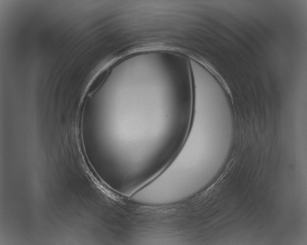 X0000054421197200507290918